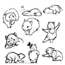 Wombats By Ancalinar On Deviantart Animal Drawings Drawings Animal Sketches