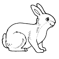 Set up a table outside and keep kids of all ages occupied with these spring pictures to color. Drawing Farm Animals 21486 Animals Printable Coloring Pages