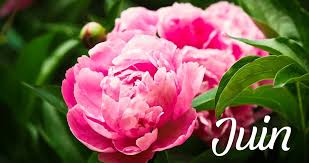 Riche en eau et en fibres, le concombre est un aliment qui peut aussi favoriser votre transit intestinal et promouvoir des selles régulières. Que Faire Dans Son Jardin Au Mois De Juin Estragon Be