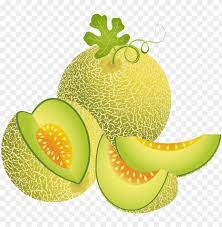 Melon, yogurtland find your flavor honeydew. Melon Illustration Green Transprent Png Free Download Melon Vector Png Image With Transparent Background Toppng