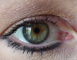 Eyes Windows Of The Soul And Research Green Brown Eyes Green Eyes Grey Green Eyes