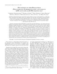 Image result for Phyllanthus hutchinsonianus