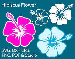 Download 50 Tropical Svg Files Tropical Leaves Flowers Animals Clipart Ideas Tropical Wall Decor Svg Tropical