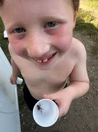 Child gives mom a spider as a gift