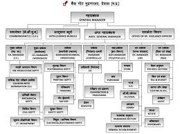 organization structure