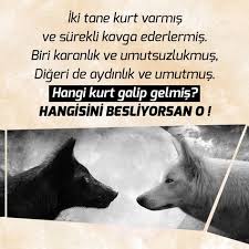Iki Tane Kurt Varmis Ve Surekli Kavga Ederlermis Biri Karanlik Ve Umutsuzlukmus Digeri De Aydinlik Ve Umutmus Hangi Kurt Galip Gelmis Kurt Karanlik Ikiz