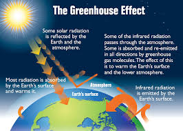 Climate Change Global Issues Feature Article Global