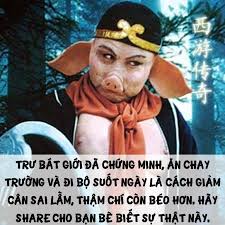 HÃ¬nh áº£nh cÃ³ liÃªn quan