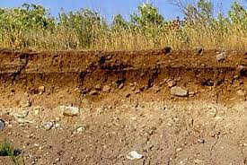 Komponen dalam tanah yang baik bagi tanaman biasanya terdiri dari mineral 50%, bahan organik 5. 28 Jenis Jenis Tanah Di Indonesia Manfaat Persebaran Gambarnya Ilmugeografi Com