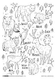 Ausmalbild Oder Abpausen Für Kinder Natur Waldtiere