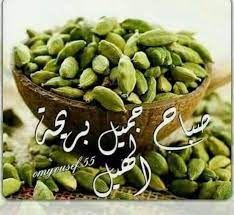 صباح جميل برائحة الهيل brussel sprout sprouts brussel