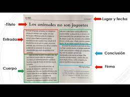 8 la carta de opinión. Las Cartas De Opinion Youtube