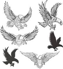 Black And White Flying Eagle Tattoo Illustration Of Flying Eagle Isolated On White Background Vector Eagle Vector Eagle Art Eagle Chest Tattoo