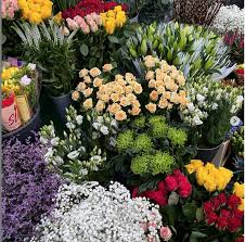 Sympathy, anniversary, love and romance, birthday, get well Meet The Shambles Market Trader Wigginton Road Nurseries