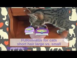 Also available in the medium long hair model. Furminator For Cats Short Hair Large Vs Small Size Review The Joy Of Cats