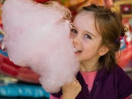 Homegrown Hillsborough County Fair To Run Nov. 3-13