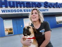 There are 19 animal shelters in essex county, new jersey, serving a population of 800,401 people in an area of 127 square miles.there is 1 animal shelter per 42,126 people, and 1 animal shelter per 6 square miles. Windsor Essex Humane Society Strikes Deal With Amherstburg Windsor Star