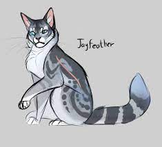 Ohhh, i love jayfeather i've begun reading the 4th series of warriors, and this one is soooo much better than. Warrior Cats Fan Art Jayfeather Rectangle Circle