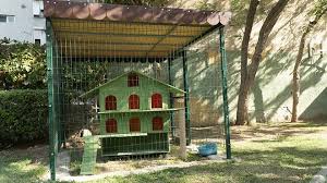 Karsiyaka Nin Kedi Evleri Koruma Altinda Manset Ege Ye Bakis