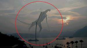 Pretty much the worst thing that can happen in a horror movie is if it says it's based on true events. 5 Mysterious Creatures Caught On Camera Zululand Observer
