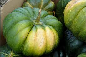 What kind of pumpkin is a green pumpkin? Identifying And Choosing The Best Types Of Pumpkins