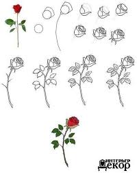 Wie Zeichnet Man Eine Rose Zeichentechniken Wie Zeichnet Man Eine Rose Blumen Zeichnen Rosen Zeichnen Blumen Zeichnung Kurse