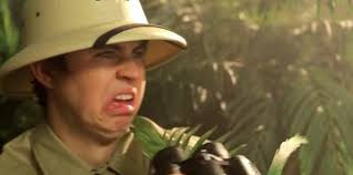 libby findlay (@libbylobsterbby)