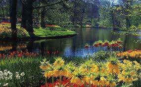 8 Pics Paradise Garden And Comments In 2020 Garden Landscape Design Landscape Design Paradise Garden