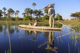 Okavango Delta, Botswana: The Complete Guide