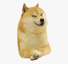 The resolution of image is 1249x1510 and classified to. Smirk Doge Png Transparent Png Kindpng