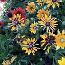 Maybe you would like to learn more about one of these? Jana Minden Janayminden Profile Pinterest
