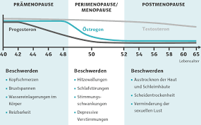 Ab wann eine frau sich selbst in den wechseljahren wähnt, hängt oft vom ausmaß der beschwerden ab. Was Passiert Im Korper Der Frau Wechseljahre Ich Mach Was Draus