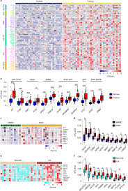 When cancer starts in the bladder, it is called bladder cancer. 5 Methylcytosine Promotes Pathogenesis Of Bladder Cancer Through Stabilizing Mrnas Nature Cell Biology