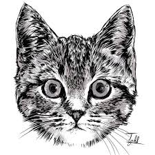 Additive adds lines onto a black canvas (rgb), while subtractive subtracts lines from a white canvas (cmy). Conquer Nostalgic Today Practice Kucing Ta Pada Dirinya