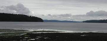 For helpful suggestions and reviews, check out a website like goodreads.com. Cabin Fever Solutions Ebay Stores