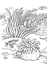 Vektor illustration einer meerjungfrau und octopus konig. Kids N Fun De 21 Ausmalbilder Von Koralle