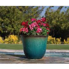 Check spelling or type a new query. Sam S Club Member S Mark Lily Plastic Planter Planters Plastic Planter Plants