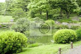 Entgegen der weit verbreiteten meinung gehören in einen japanische garten nur sehr wenige exotische pflanzen. Der Grune Baum Die Pflanzen Der Japanische Zengarten Und Der Fototapete Fototapeten Ententeich Japanischen Garten Kyoto Myloview De
