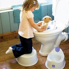 نتیجه جستجوی لغت [potty] در گوگل