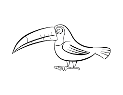 Maybe you would like to learn more about one of these? Pictures Of A Toucan Coloring Home