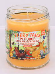 Pet odor specialty pet products exterminator, 13 ounce orange lemon splash jar candle and 13 ounce clothesline fresh jar candle. Furry Tails Pet Odor Exterminator 13 Ounce Jar Candle Buy Online In Madagascar At Madagascar Desertcart Com Productid 115287003