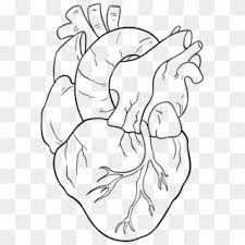 How to draw a heart step by step. Heartbeat Svg Heart Drawing Heart Clipart 1659017 Pikpng