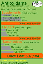This uptick in excitement around avocados stems, in part, from recent nutrition research, which found that the type. Conditions Olive Leaf Is Recommended For