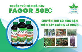 Fagor 50EC