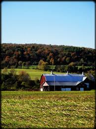 Pin By Anna Cheetham On Barn Tour And More Via Wendy Jones Farm Barn Old Barns Farm Scenery