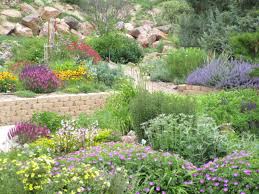 Cw excavating, emci concepts, lucky lab llc. Pueblo West Xeriscape Demonstration Garden Pueblo West Plant Select