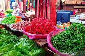 Sketsa gambar mewarnai sayuran contoh mewarnai gambar sayur mayur terbaru ada kol tomat wortel terong dan lain lain. Harga Komoditi Sayur Mayur Di Pematangsiantar Fluktuasi Antara News Sumatera Utara
