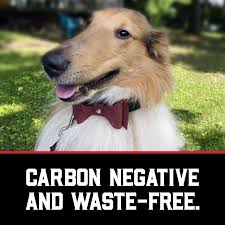 Image result for negative ping