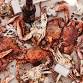 Crab Feast 2026 @ Wise Ave Volunteer Fire Company