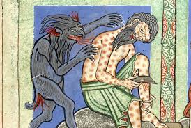 Image result for Leptoderris goetzei